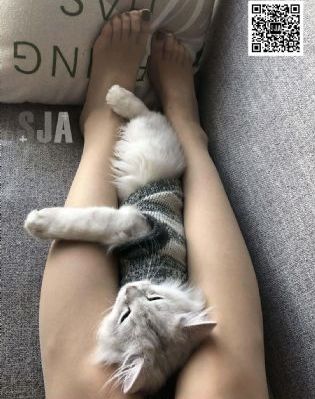 人间空间时间与人_完整视频大全