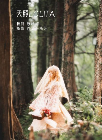 给我免费播放的电影在线观看国语_1080全集在线观看